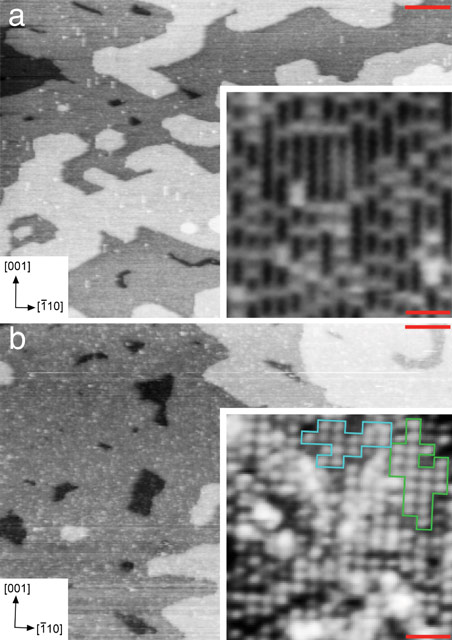 STM images of the TiO2(110) surface before and after immersion in liquid water 