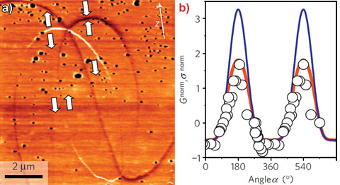 c-AFM image of two neighbouring structural singularities of ErMnO3 and angular dependence of the normalised conductance
